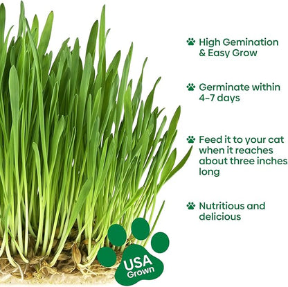 Cat Grass Seeds, 4 Oz, Non-GMO Wheat Cat Grass Seeeds & Oat Seeds Mix, High Germination Cat Grass Seeds Grown in USA for Indoor Cats