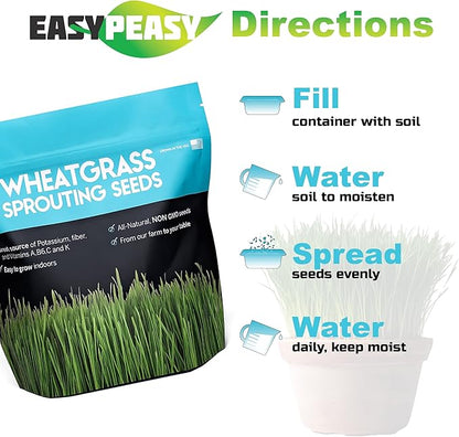 Wheatgrass Seeds | Non GMO | Grown in USA Wheat Grass Seeds | from Our Farm to Your Table (10 Pound)