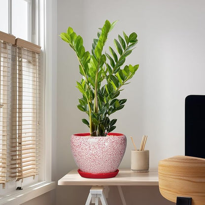 10 Inch Pots for Plants - Ceramic Planter Pots for Indoor Outdoor Plants, Decorative Planter with Drainage Hole and Saucer, Modern Flower Pot, House Decor, Plant Lover Gifts, Crackle Red