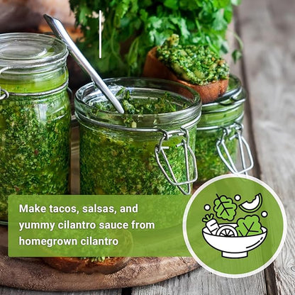 Sow Right Seeds - Bulk Cilantro Seeds for Planting - 1 Ounce, 2000 Seeds - Non-GMO Heirloom Jumbo Pack with Instructions to Grow an Herb Garden - Great for Cooking - Make Loads of Coriander Seasoning