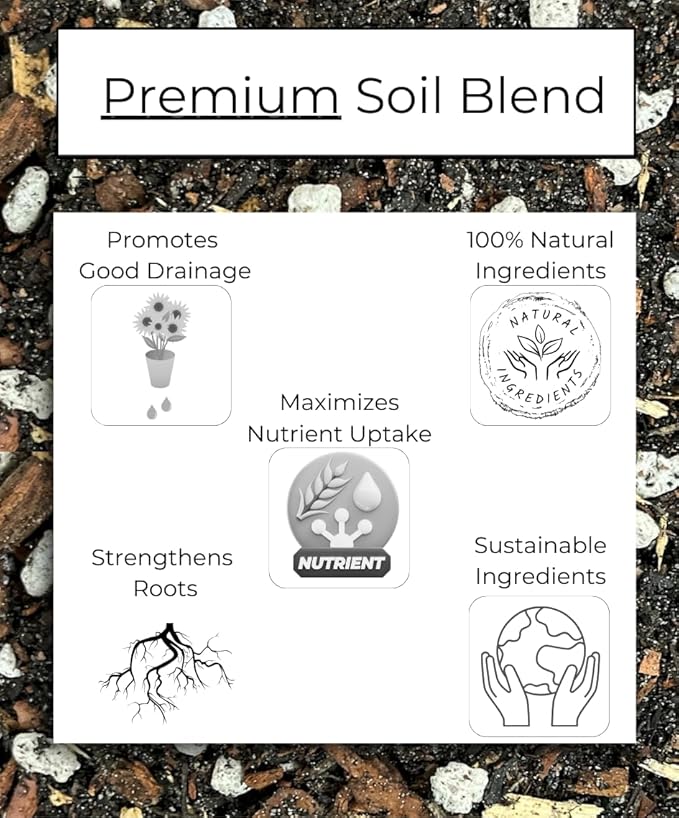 Succulent and Cacti Soil, Organic. 5lb Bag with Biochar, Mycorrhizae, Pumice Stone, Pine Bark Fines, and Silica Sand. for Cactus, Palm, Succulent, and All Other Desert Plants.