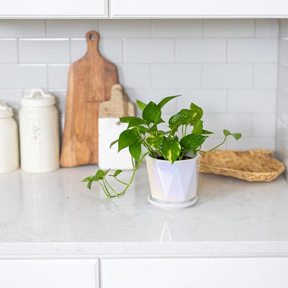 Coco Andrea Ceramic Plant Pots for Indoor Plants with Drainage & Saucers - 5-inch Iridescent White Planters for Houseplants, Succulents & Flowers - Housewarming Gift Set (1-pc, Small)