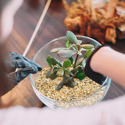 5 lb Coarse Sand Stone - Succulents and Cactus Bonsai DIY Projects Rocks, Decorative Gravel for Plants and Vases Fillers，Terrarium, Fairy Gardening, Natural Stone Top Dressing for Potted Plants.