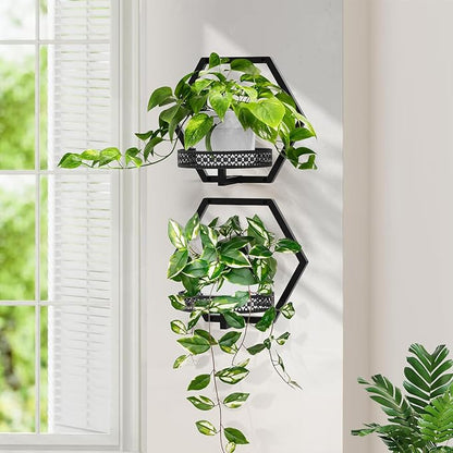 3 Packs Wall Planters for Indoor Plants, 7.9inch Metal Wall Plant Holder Hanger Wall Decor, Wall-Mounted Hanging Planters Window Plant Shelves Outdoor (Black Openwork)