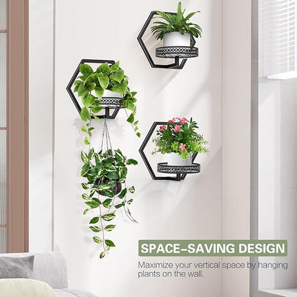 3 Packs Wall Planters for Indoor Plants, 7.9inch Metal Wall Plant Holder Hanger Wall Decor, Wall-Mounted Hanging Planters Window Plant Shelves Outdoor (Black Openwork)