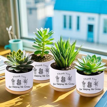 Thank You for Helping me Grow Gifts,Funny planters for Indoor Plants, for Planter Lover,Garden Planters Succulent Pots, with Drainage Holes and Saucer(No Plants) (Helping Me Grow)
