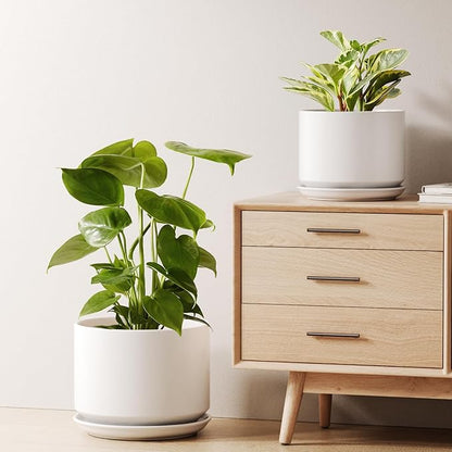LE TAUCI Ceramic Plant Pots, Set of 2, 8+10 Inch Plant Pots Indoor with Drainage Hole & Saucer, Sturdy Planters for Indoor Plants, Modern Minimalist Decor for Snake Plant, Monstera, White