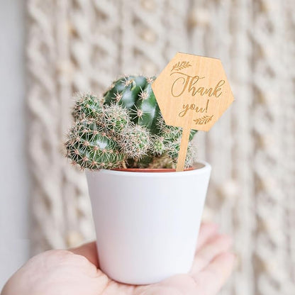 30Pcs Thank You Plant Labels Baby Shower Hexagon Wooden Plant Stakes Gift Succulent Garden Marker Plant Sign for Seed Potted Teacher Appreciation Thanksgiving Supplies