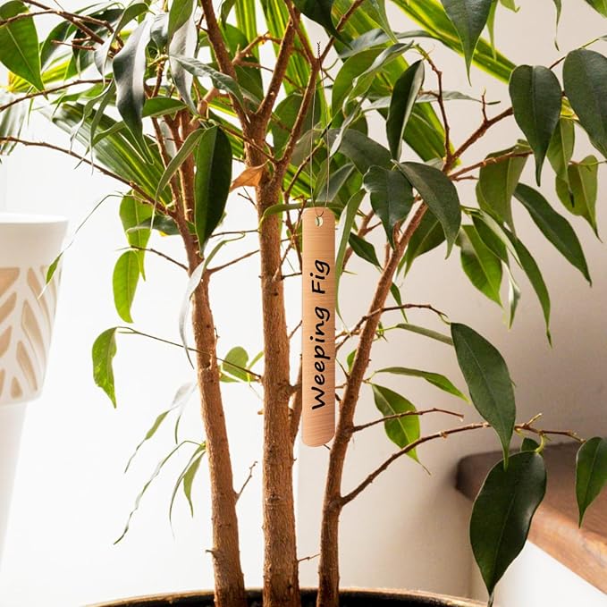 Cosmos 20 Pack Metal Plant Labels Copper Tree Tags Double Sided Write On Metal Garden Tags Waterproof Reusable Plant Markers for Outdoor Greenhouse Vegetables Flower Identification