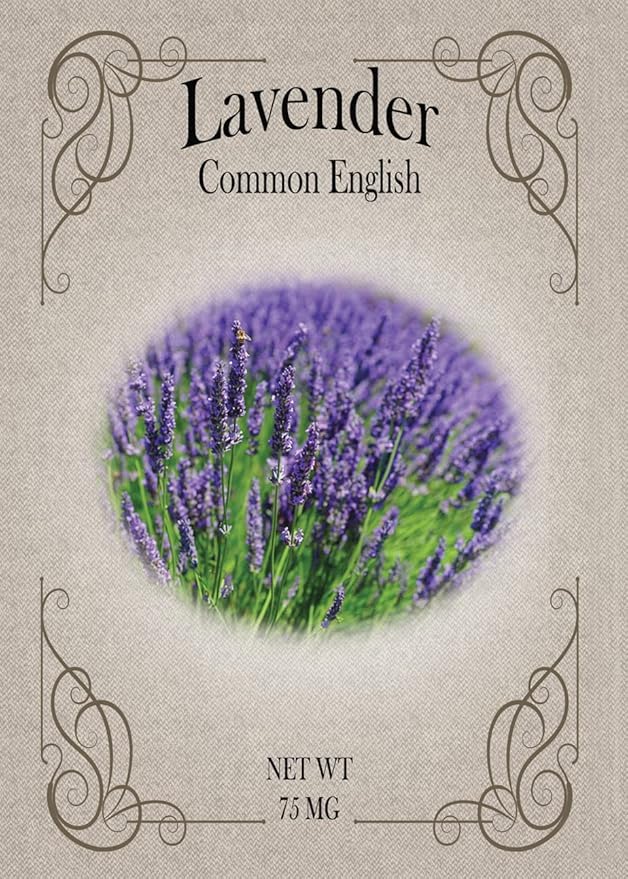 Set of 100 Lavender Seed Packets - Create Your Dream Garden - Bulk Flower Seeds (100)