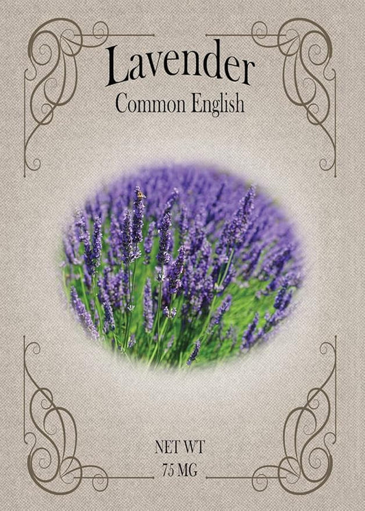 Set of 100 Lavender Seed Packets - Create Your Dream Garden - Bulk Flower Seeds (100)