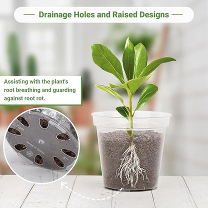 GREANER 5 Inch 30 Packs Clear Plant Pots, Transparent Plastic Plant Pots for Indoor Outdoor Plants, Nursery Pots & Seed Starting Pots with Drainage Holes and 20 Pcs Plant Labels