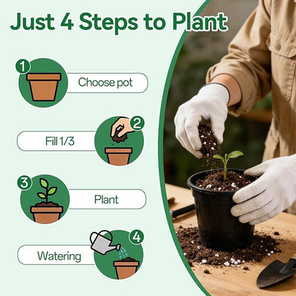 Zeedix Potting Soil Mix for Indoor Houseplant, Include Perlite, Compost, Peat Moss, Coco Coir and Vermiculite, Well Draining Potting Mix, Promote Healthy Root Development and Faster Plant Growth, 6qt