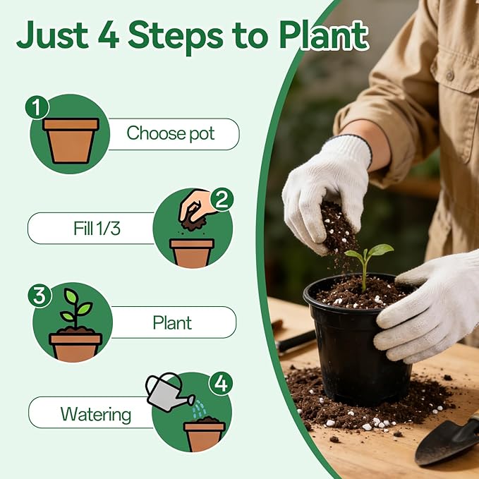 Zeedix Potting Soil Mix for Indoor Houseplant, Include Perlite, Compost, Peat Moss, Coco Coir and Vermiculite, Well Draining Potting Mix, Promote Healthy Root Development and Faster Plant Growth, 3qt