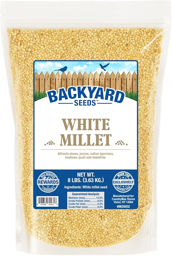 CountryMax Backyard Seeds White Millet Bird Seed for Finches 8 Pounds (8 Pounds)