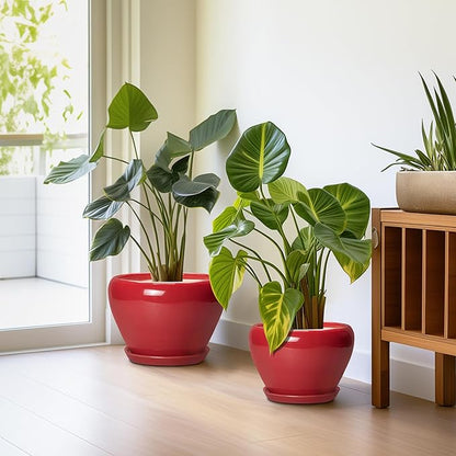 Ceramic Plant Pots, 10+8+6 Inch Ceramic Planters with Drainage Holes and Saucers, Round Decorative Pots for Plants Indoor Outdoor, House Decor, Gifts for Plant Lovers, Set of 3, Bright Red