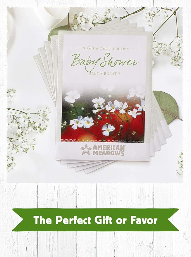 American Meadows Wildflower Seed Packets Baby Shower Party Favors (Pack of 20) - Baby's Breath Wildflower Seed Packet Favors for Baby Showers and Sprinkles, Great Gift for Hostesses