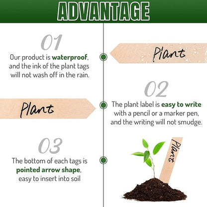 Whaline 50Pcs Wooden Plant Labels with A Marker Pen, Waterproof Pointed Wooden Plant Sign Tags Eco-Friendly Garden Markers for Seed Potted Herbs Flowers Vegetables (15 x 2 cm)