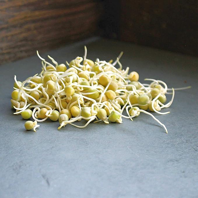 Green Pea Sprouting Seed - 8 Oz - Handy Pantry Brand - Green Pea for Sprouts, Garden Planting, Cooking, Soup, Emergency Food Storage, Vegetable Gardening Product Name