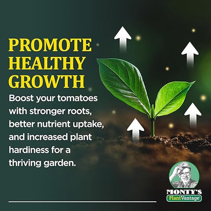 PlantVantage Concentrated Tomato Plant Food – Liquid Fertilizer with Humic Acid & Zinc, Liquid Plant Food Supporting Strong Roots, Bigger Blooms & Higher Yields, Easy Root Feed or Foliar Spray – 32 oz