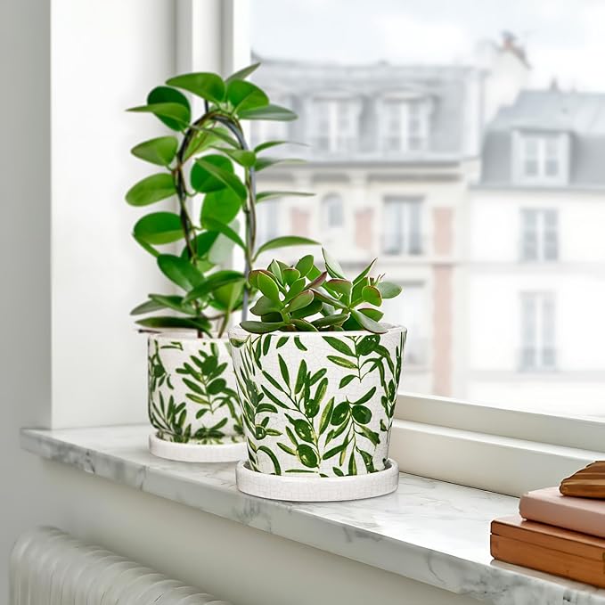 Oairse Small Ceramic Pot for Indoor Plants - 5.5 inch Plant Pot with Drainage Hole and Saucer Olive Leaves Decorative Planter Indoor Outdoor Flower Pots for Succulent Snake Pothos Plant Cactus Orchid