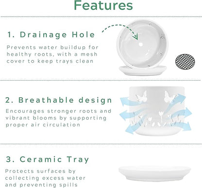 2 Pack, 5 + 6 Inch White Orchid Pots with Butterflies and Tulips Holes and Saucer, Ceramic Orchid Planters for Repotting with Drainage Holes and Tray Indoor Outdoor, Butterfly Gift