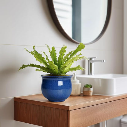 6 Inch Self Watering Pots, Ceramic African Violet Planter with Absorbent Inner Pot, Round Flower Pot for Indoor Plants, Ceramic Pots for Plants, Room Home Decor, Plant Lover Gifts, Blue