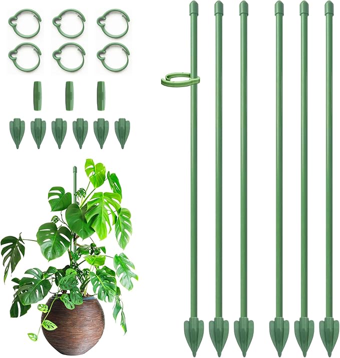 Plant Stakes for Indoor Plants, RIFNY 12 Inch Plant Support Stakes with Clips, Tall Adjustable Plant Sticks for Indoor Monstera Tomato Orchid Potted Plants Flower (6 PCS, Green)