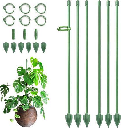 Plant Stakes for Indoor Plants, RIFNY 12 Inch Plant Support Stakes with Clips, Tall Adjustable Plant Sticks for Indoor Monstera Tomato Orchid Potted Plants Flower (6 PCS, Green)