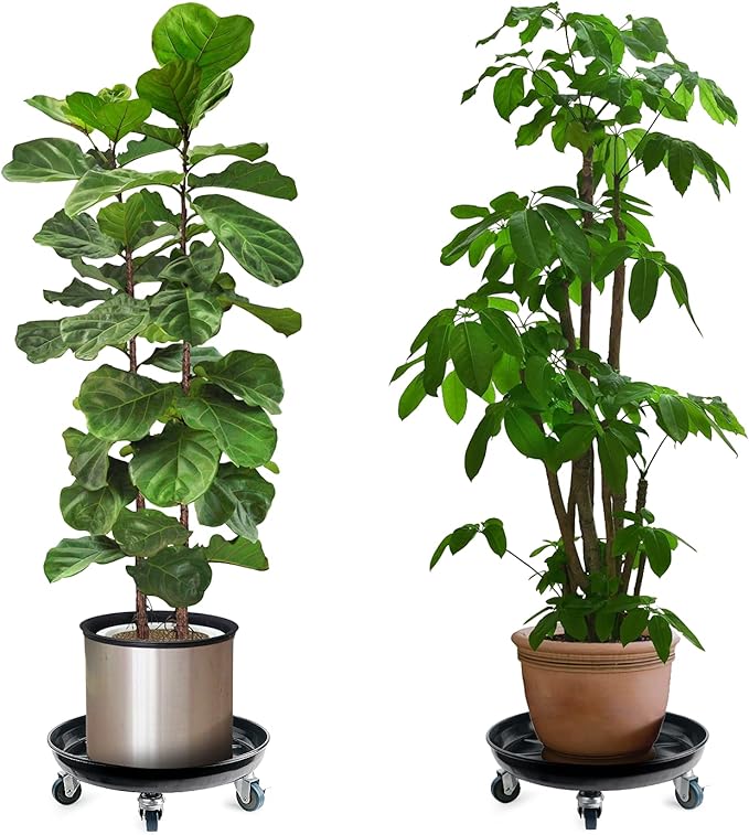 Choclaif Plant Caddy with Wheels,3 Pack Black Heavy Duty Plant Stand with Universal Wheels,Round Pot Trolley for Indoor Outdoor (16.14)