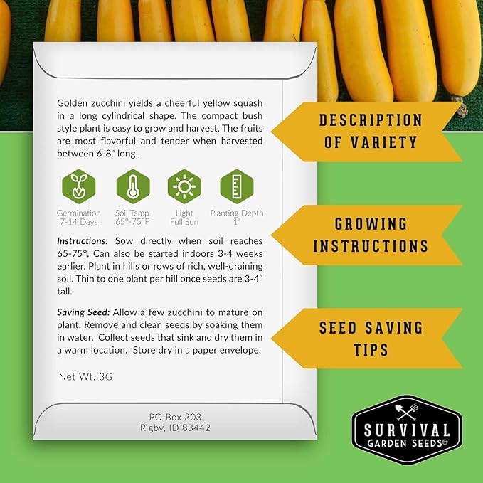 Golden Zucchini Seeds for Planting - Plant & Grow Yellow Zucchini Vegetables in Your Home Vegetable Garden - Non-GMO Heirloom Variety - Survival Garden Seeds (2 Packs)