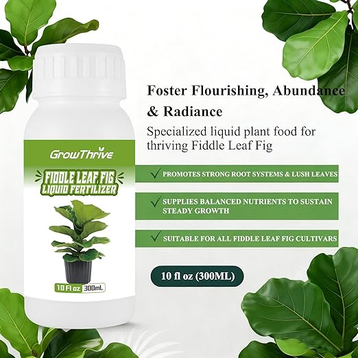 10oz Fiddle Leaf Fig Plant Food for All Fig and Other Ficus Trees, Liquid Houseplant Fertilizer for Ficus Plants, Ideal Fiddle Leaf Fertilizer, Ficus Plant Food for Improves Leaves and Branches