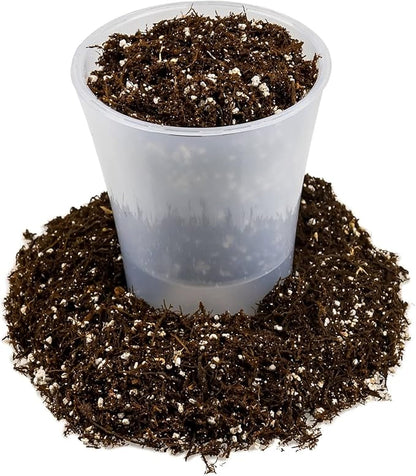 Gardenera Fern + Perlite Soil Mix for Repotting and Planting Succulents and Cactuses - 1 Quart Bag