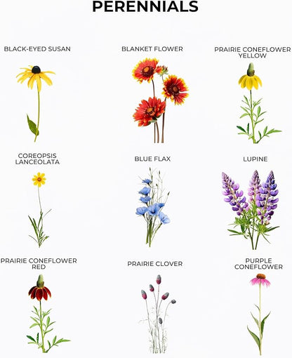 Tactiko Garden 26 Wildflower Seeds Mix, 120,000+ 4 oz Save The Bees Wildflower Garden Seeds, Annual & Perennial Pollinator Seeds to Attract Bees, Butterflies & Hummingbirds, Up to 600 sq ft Coverage