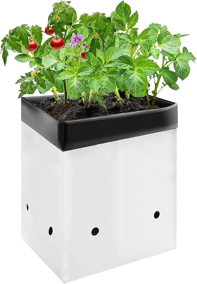 VIVOSUN 50-Pack 1 Gallon Grow Bags for Plants, Black-and-White Panda Film Containers Thick Plastic Bag for Potting Seedlings, and Rooting