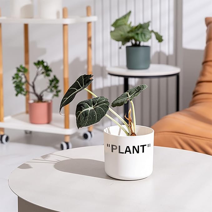 TwoDays Off-White Inspired Sneaker Planter, Hypebeast Room Decor, Small 5 Inch Cylinder White Plastic Indoor Plant Pot with Built in Drainage Hole, Mini Flower Pot, Sneakerhead Gift.