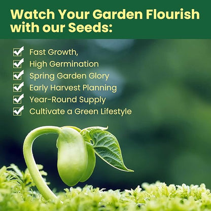 Herb Seeds 15-Pack – 4,500+ Non-GMO Heirloom Seeds for Planting – Indoor & Outdoor Herb Garden Kit with Basil, Cilantro, Rosemary, Thyme, Dill, Sage – Medicinal & Culinary Herb Seeds Variety Pack