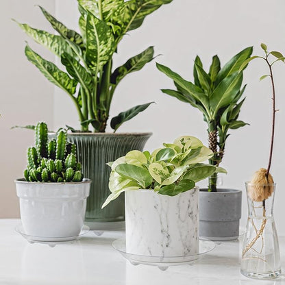 6 Pack Heavy Duty Clear Plastic Plant Saucer Sturdy Pot Tray Plant Drip Trays Drip Trays for pots,Plant Water Catcher Tray,Flower Pot Saucer Water Drainage Tray Floor Protector (10 INCH)