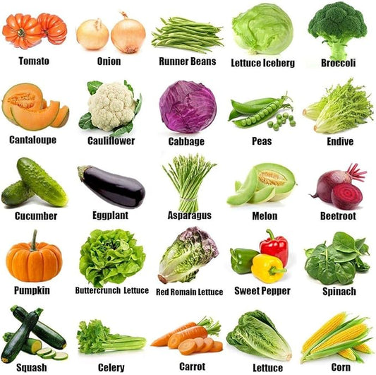 12500+ Seeds Vegetable Fruit Seeds Emergency-Survival Garden Food Outdoor LivingOutdoor Living (25 Variety)