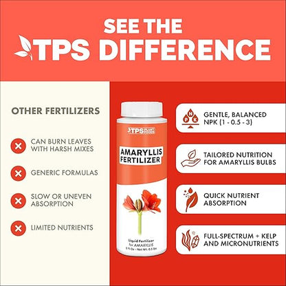 Amaryllis Fertilizer for Amaryllis Bulbs, Great for Amaryllis Bulbs in Vase or for Planting, Liquid Fertilizer by TPS Plant Foods, 8 oz (250mL)