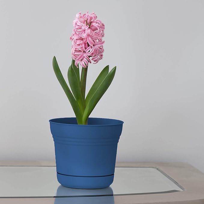 Bloem Saturn Planter w/Saucer 5" Classic Blue (SP0533)