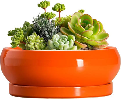 Succulent Planters 6 Inch - Small Bonsai Pots Ceramic, Succulent Pots with Drainage Hole and Saucer, Shallow Planters Indoor Outdoor, Round Cactus Pot, Office Decor, Gardening Gift, Orange