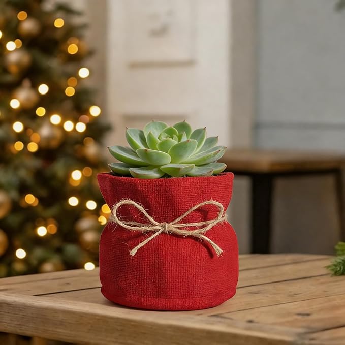 Succulent Pots Flower Pots for Indoor Plants Cute Plant Pots Candy Bowl for Office Key Holder Bowl Farmhouse Table Decor (Red)