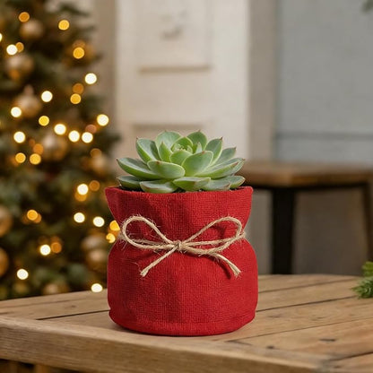 Succulent Pots Flower Pots for Indoor Plants Cute Plant Pots Candy Bowl for Office Key Holder Bowl Farmhouse Table Decor (Red)