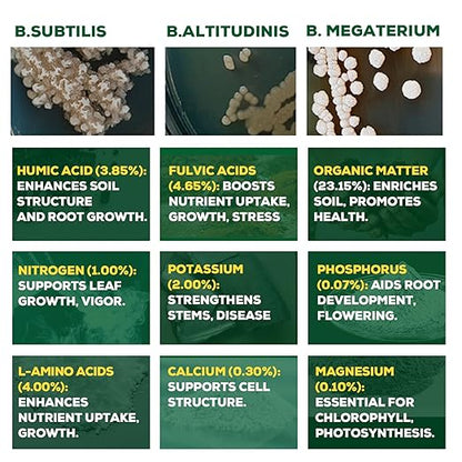 Organic Liquid Plant Food for Indoor Plants & Gardens, Natural NPK Fertilizer w/Beneficial Microbes, Rapid Results, Vegan, Best Value Super Concentrate, Smart Grower, Makes 160 Gallons (32 Fl Oz)