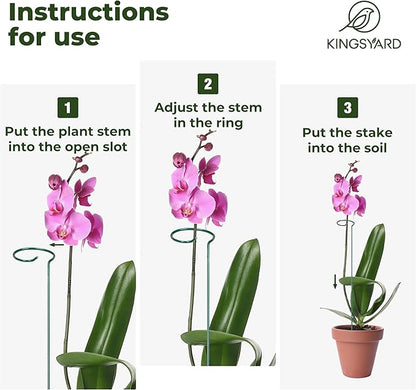 Kingsyard 16 Inch Plant Support Stakes - 10 Pack, 4.5mm Thick All Metal Garden Plant Stakes for Outdoor Plants Single Stem Flowers Dahlia Lily Rose Peony Hydrangea Tomatoes Sunflower Gladiolus