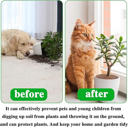 11.8 Inch Plant Pot Grid,6 Pack Plant Pot Soil Covers Protectors with 48 Stakes,Cat Pet Digging Stopper for Indoor Outdoor