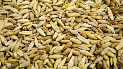 Thunder Acres Cat Grass Blend, Wheat, Barley, Oats, and Rye Mix, Non-GMO, Certified Organic, Bonus CAT Toy (5 LB)