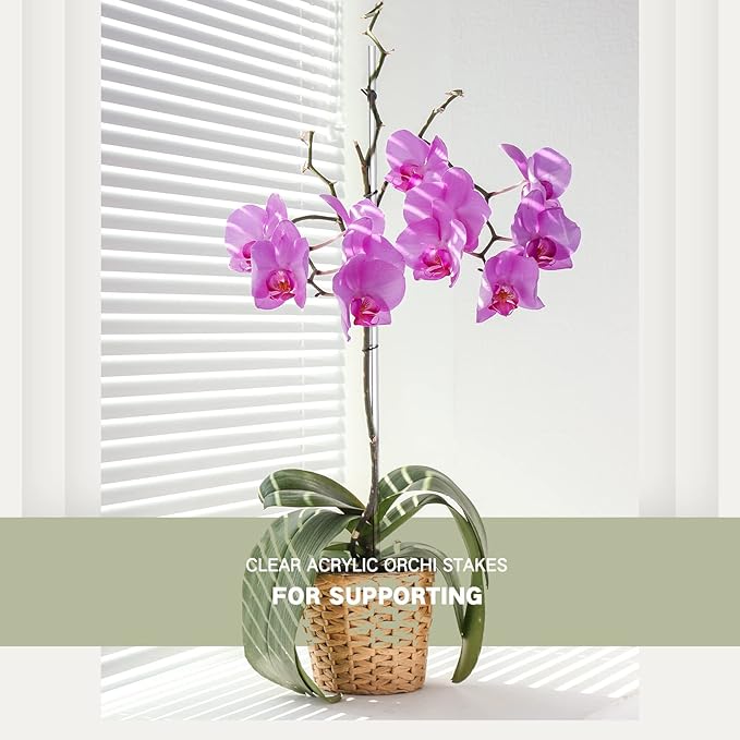 Chunful 30 Pcs 15.6 Inch Acrylic Plant Stakes Garden Sticks Clear Orchid Stakes Plant Sticks for Potted Support Tomatoes Flowers Grow Upright