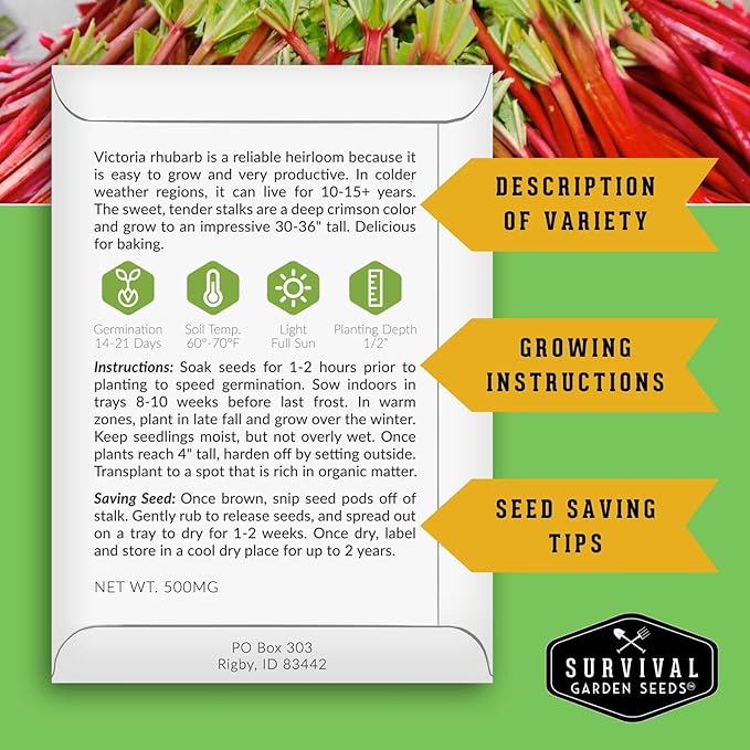 Victoria Rhubarb Seeds for Planting - Grow Cold-Tolerant Perennial Spring Vegetables/Fruit in Your Home Garden - Non-GMO Heirloom Variety - Survival Garden Seeds (1 Pack)